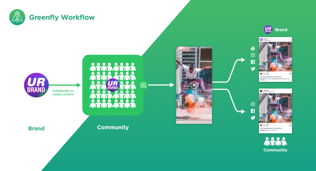 A graphic diagram of how Greenfly workflow functions.